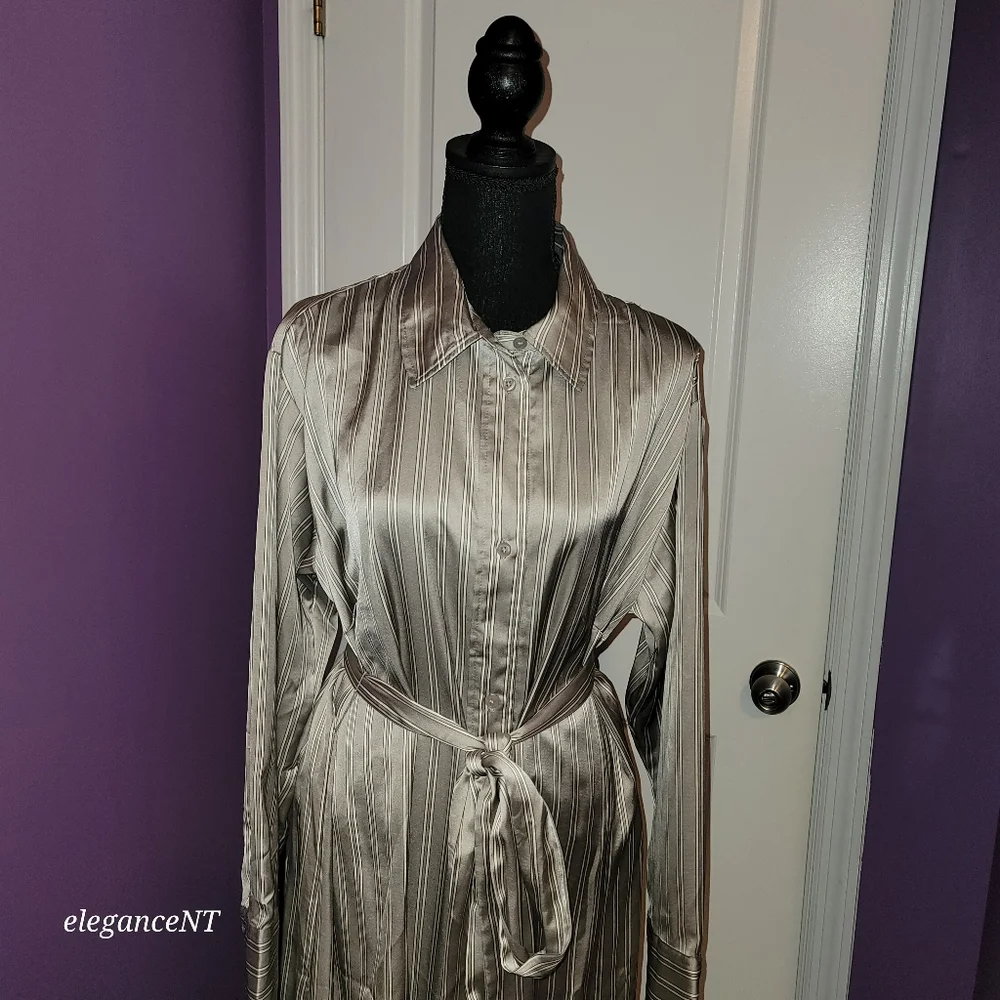 H & M Silver Striped Long Sleeve Button Down Dress Sz: L NWT - Picture 10 of 10